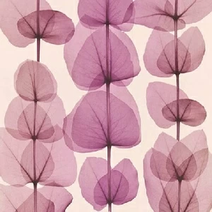 34245-3 Обои A.S. Creation X-Ray