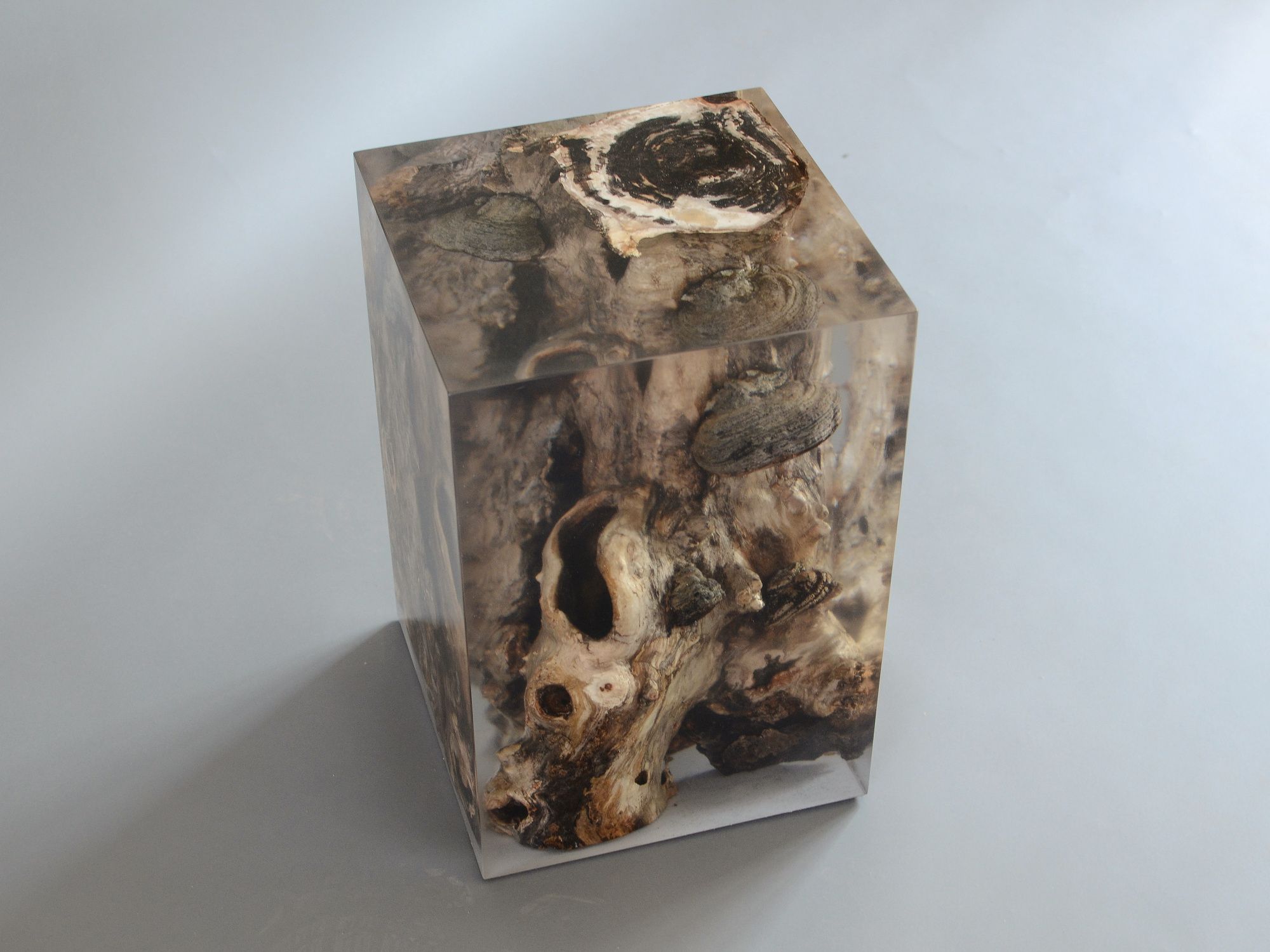 Табурет / журнальный столик alcarol Fungi ARCH-00131901 - Вид №2