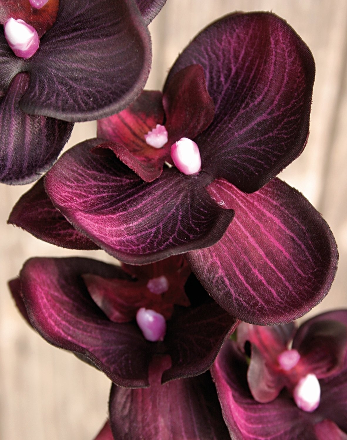 2423 299 a2 Искусственная орхидея Phalaenopsis, 92см, антично-темно-пурпурная H-andreas 