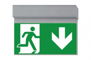 DST-3966 Ikus 2211-t Daisalux Светильники и спец. Серебристо-Серый