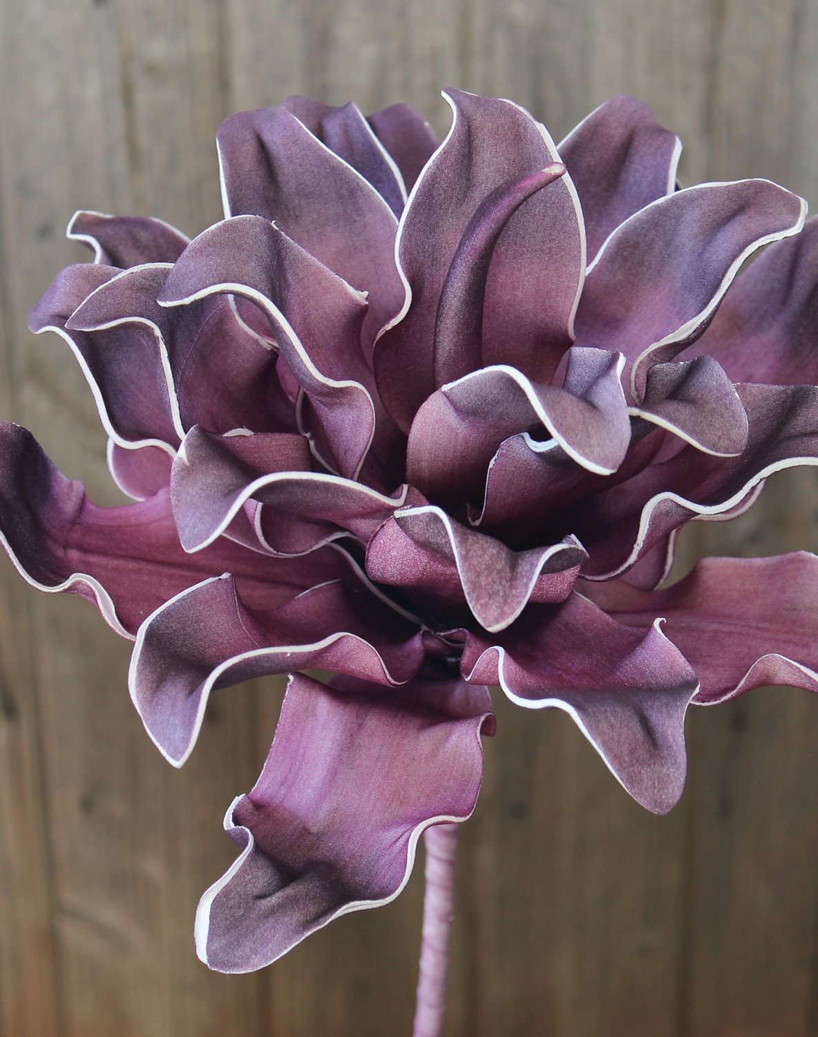 7898 807 a3 Искусственный протея мягкий цветок, 38 см, зелено-белый H-andreas  - Вид №4