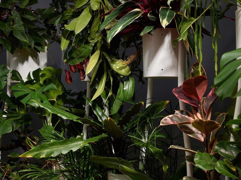 Brunner Отдельно стоящая офисная перегородка sun-id-1369280 - Вид №10