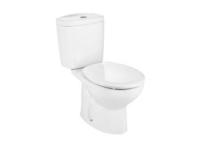 Пол керамический моноблочный туалет