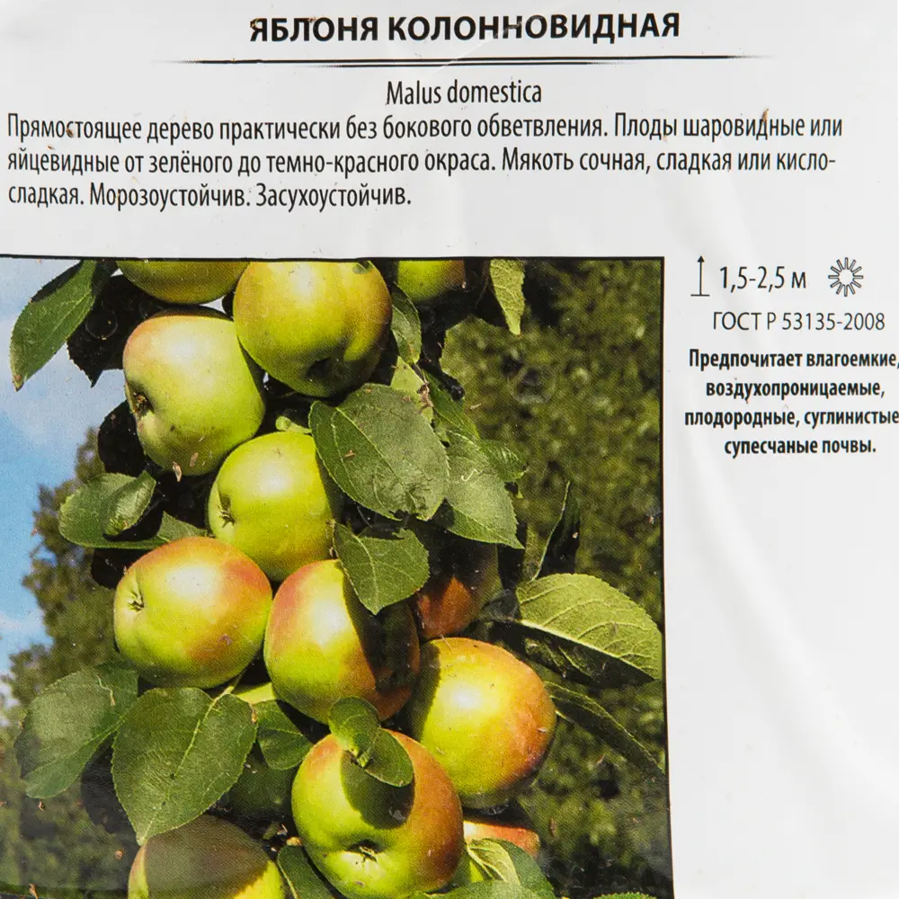 Яблоня колоновидная «Каскад» 25x120 см 82585462 STLM-2004356 Santreyd  - Вид №1