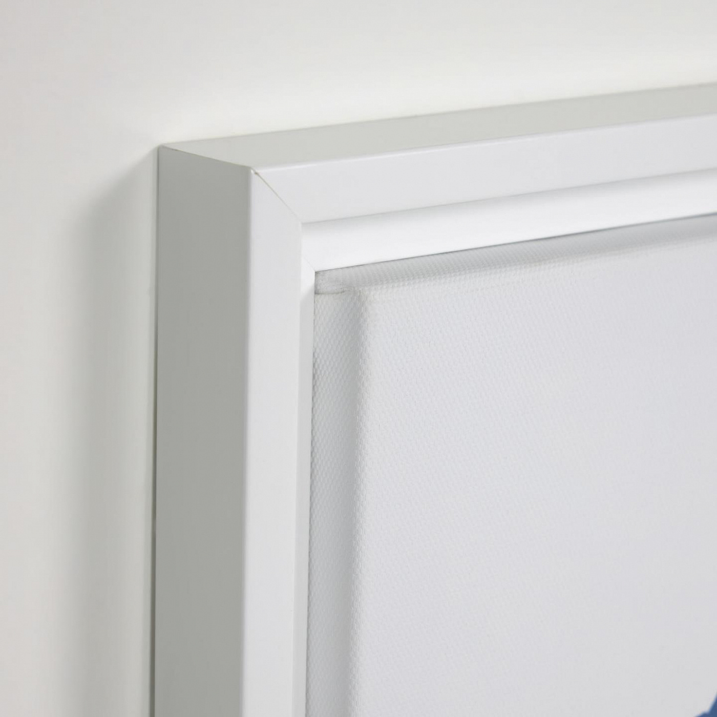 101714 Постер с синей рыбкой 30 х 30 см La Forma Lavinia - Вид №1