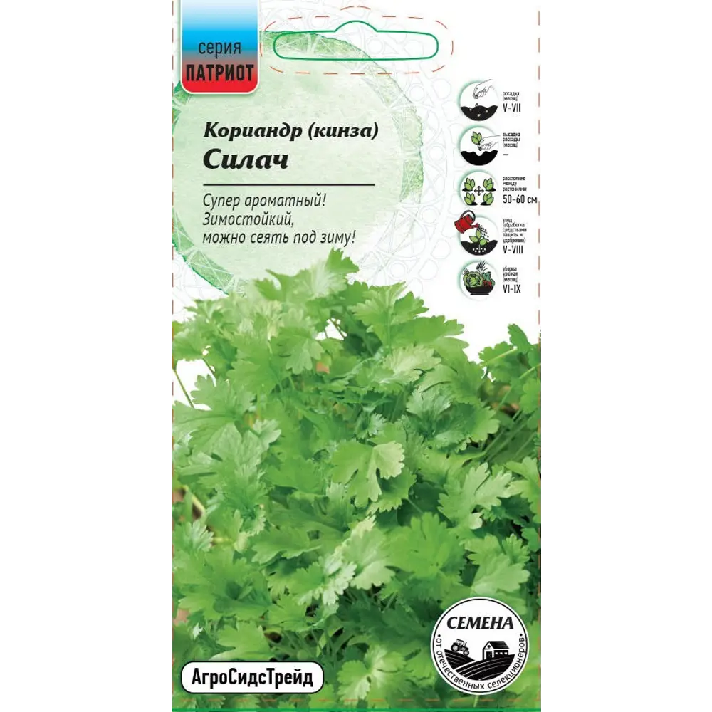 Семена кориандра Силач для выращивания ароматной зелени 89405142 Santreyd STLM-1583657