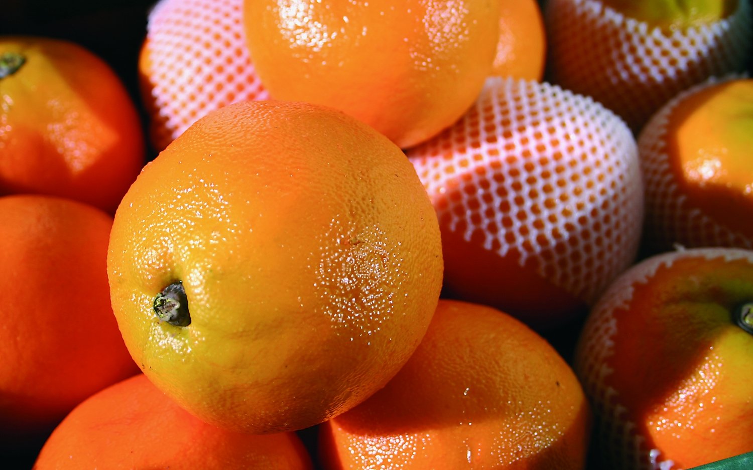 7266 334 a3 Пластик оранжевый, 9 см, оранжевый H-andreas 