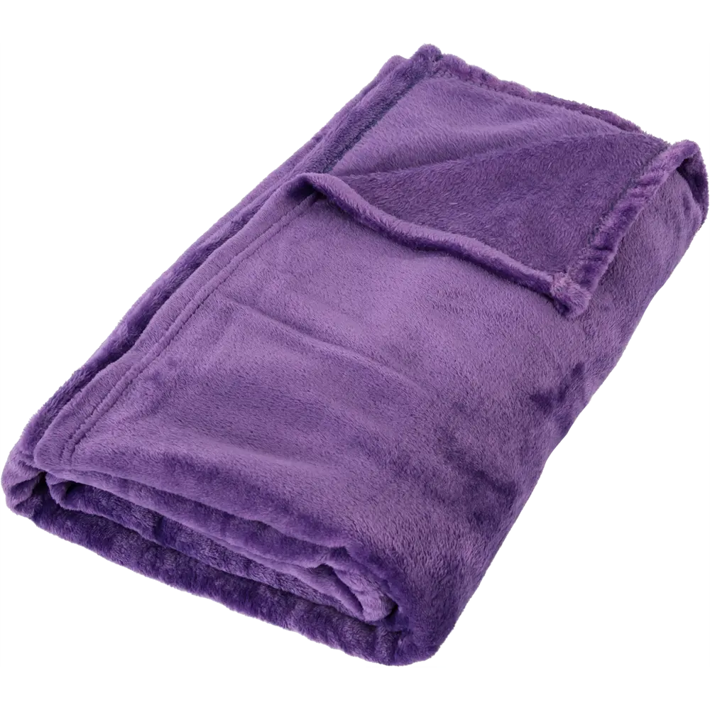 Плед Ario 150x200 см фланель цвет фиолетовый Santreyd STLM-2096152 - Вид №1