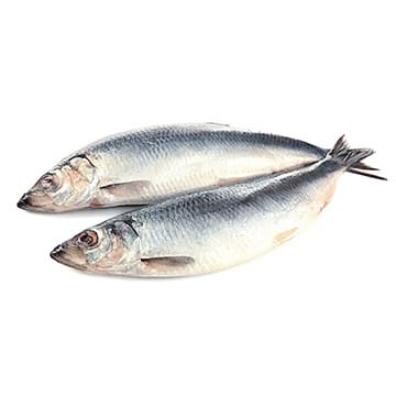 Сельдь Атлантическая свежемороженая ~1 кг Santreyd 29249 - Вид №1