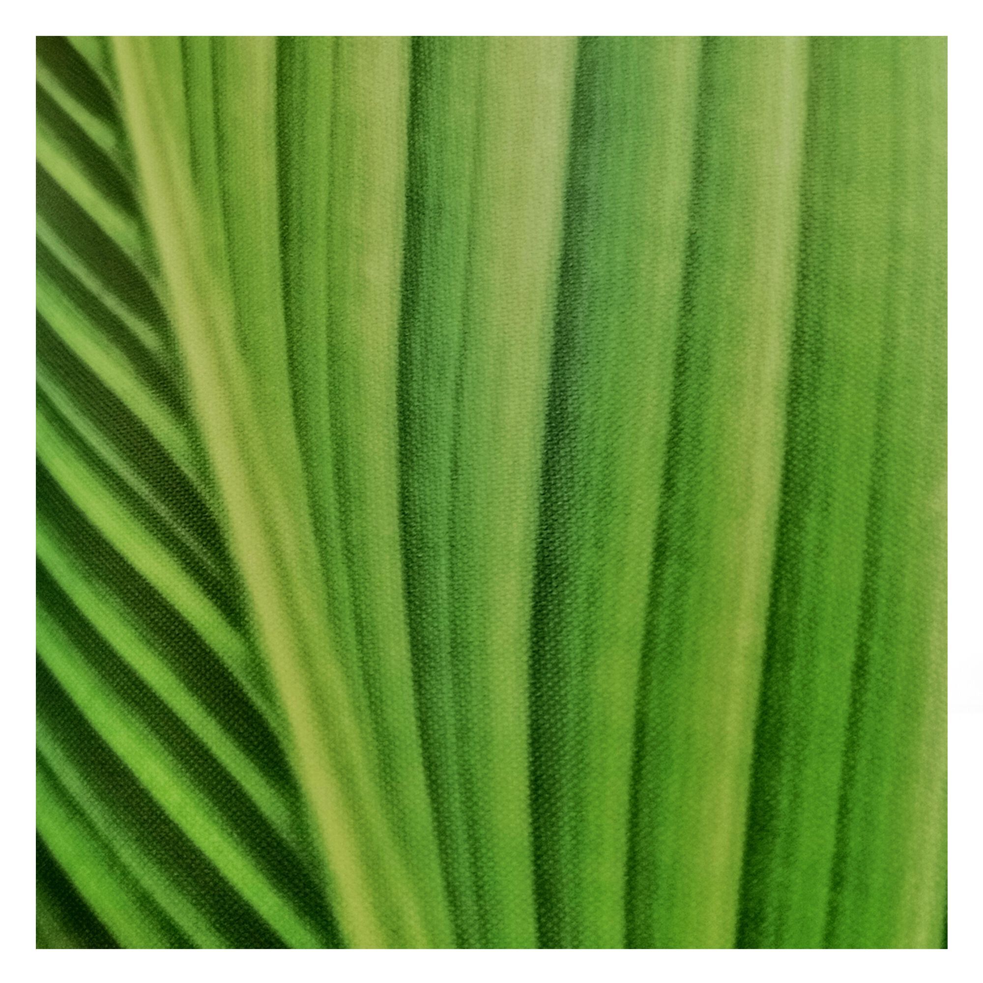 Открытый стальной подвесной светильник emu конус ARCH-00014658 - Вид №2