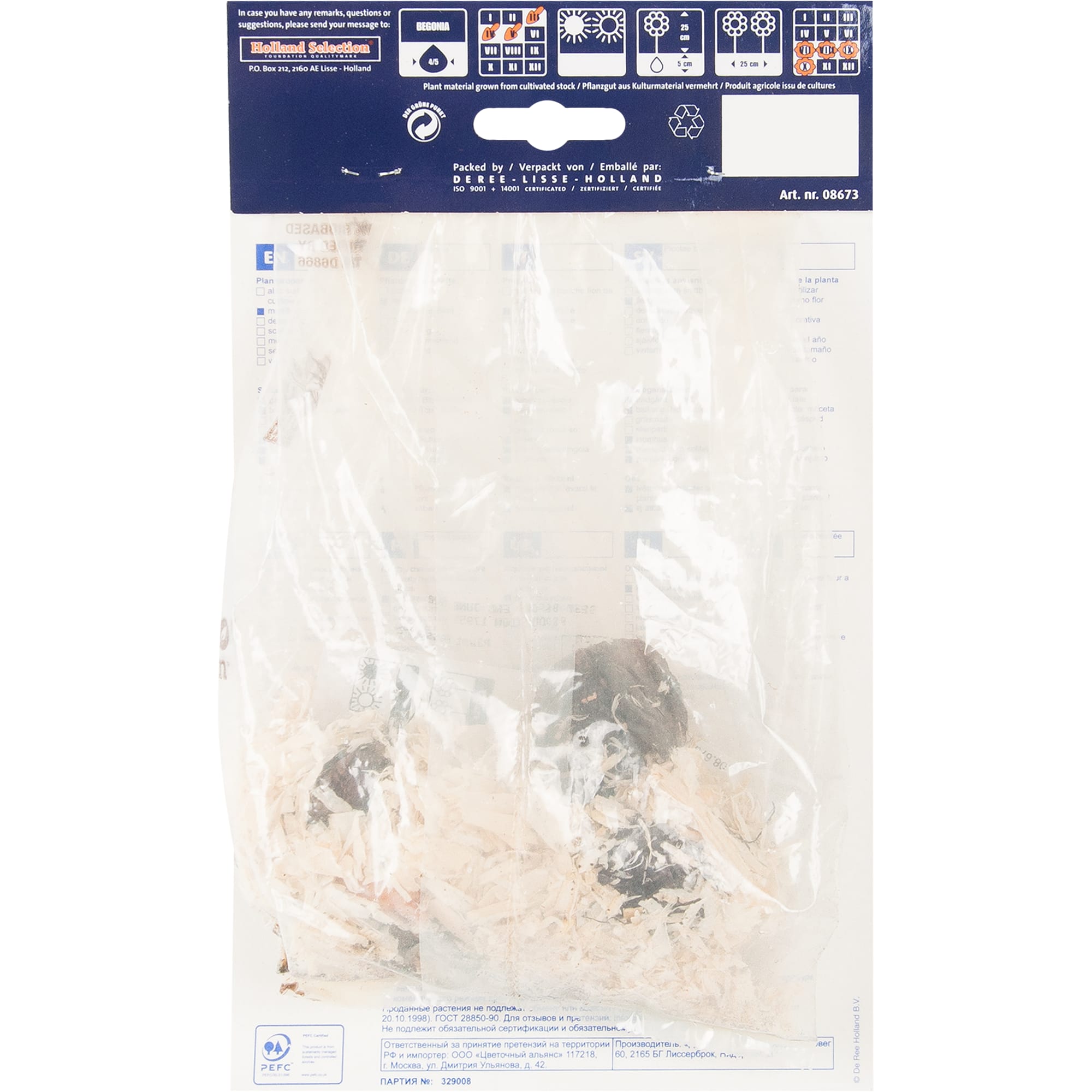 82539268 Бегония пикоти бело-красная Santreyd  - Вид №1