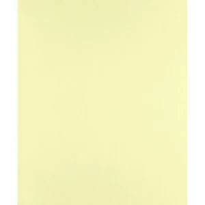 Рулон обоев ARC EN CIEL CFT12997121. Основа