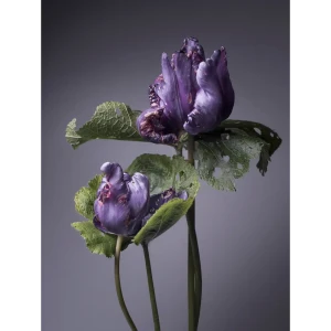Картина на стекле "Цветы фиолетовые" 60x80 см 82924209 STLM-2010297