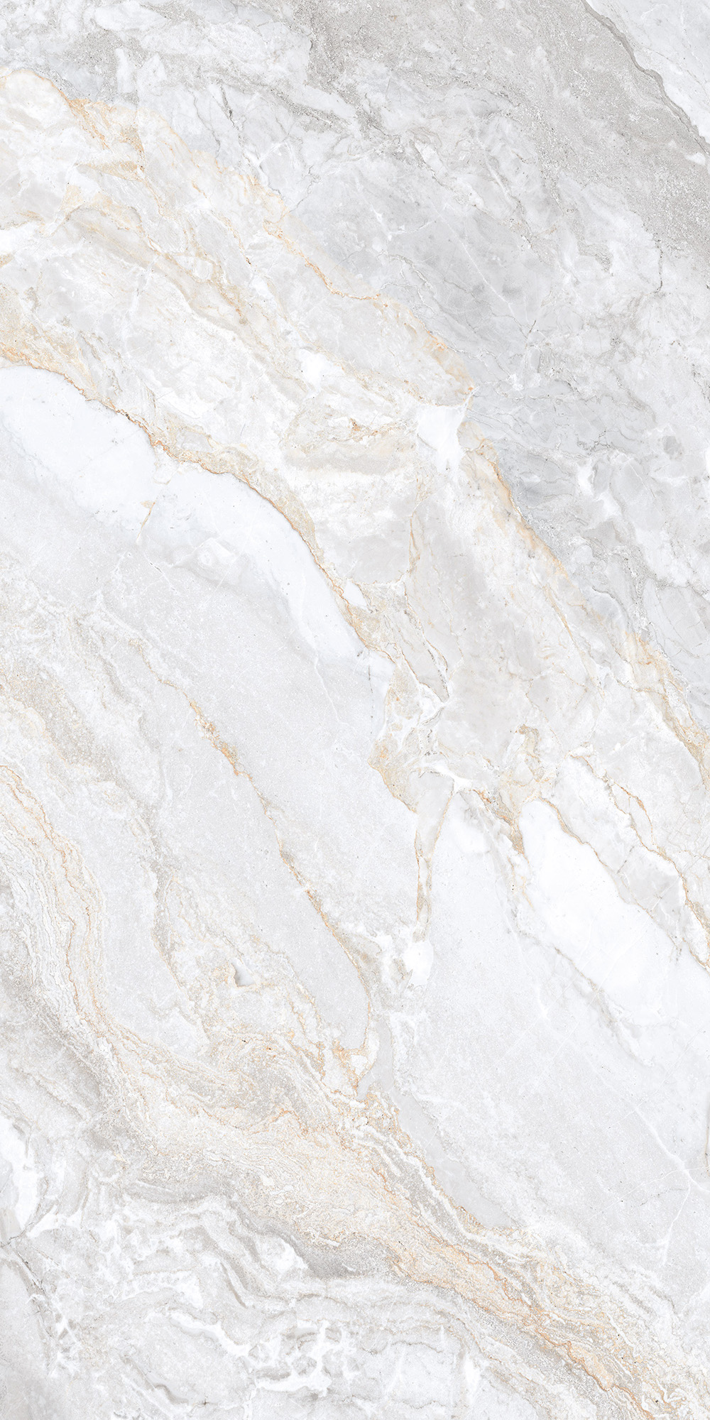 Керамогранит TRIVOLA BIANCO LAPPATO 60х120 Arcadia Ceramica CL4006-A - Вид №1