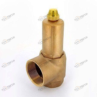 Предохранительный клапан WATTS SVH 2"x2"1/2 3 bar 10004808