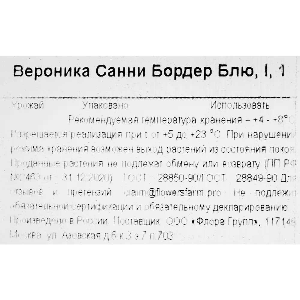 Вероника Санни Бордер Блю 86735771 STLM-2125441 Santreyd  - Вид №2