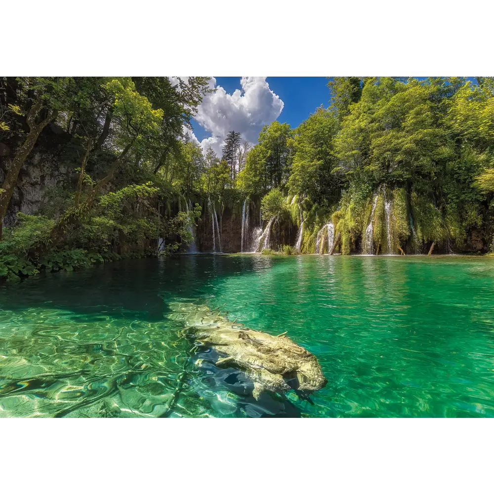 Фотообои «Эдем» бумажные 386x254 см 8-533 Komar National Geographic STLM-2191831