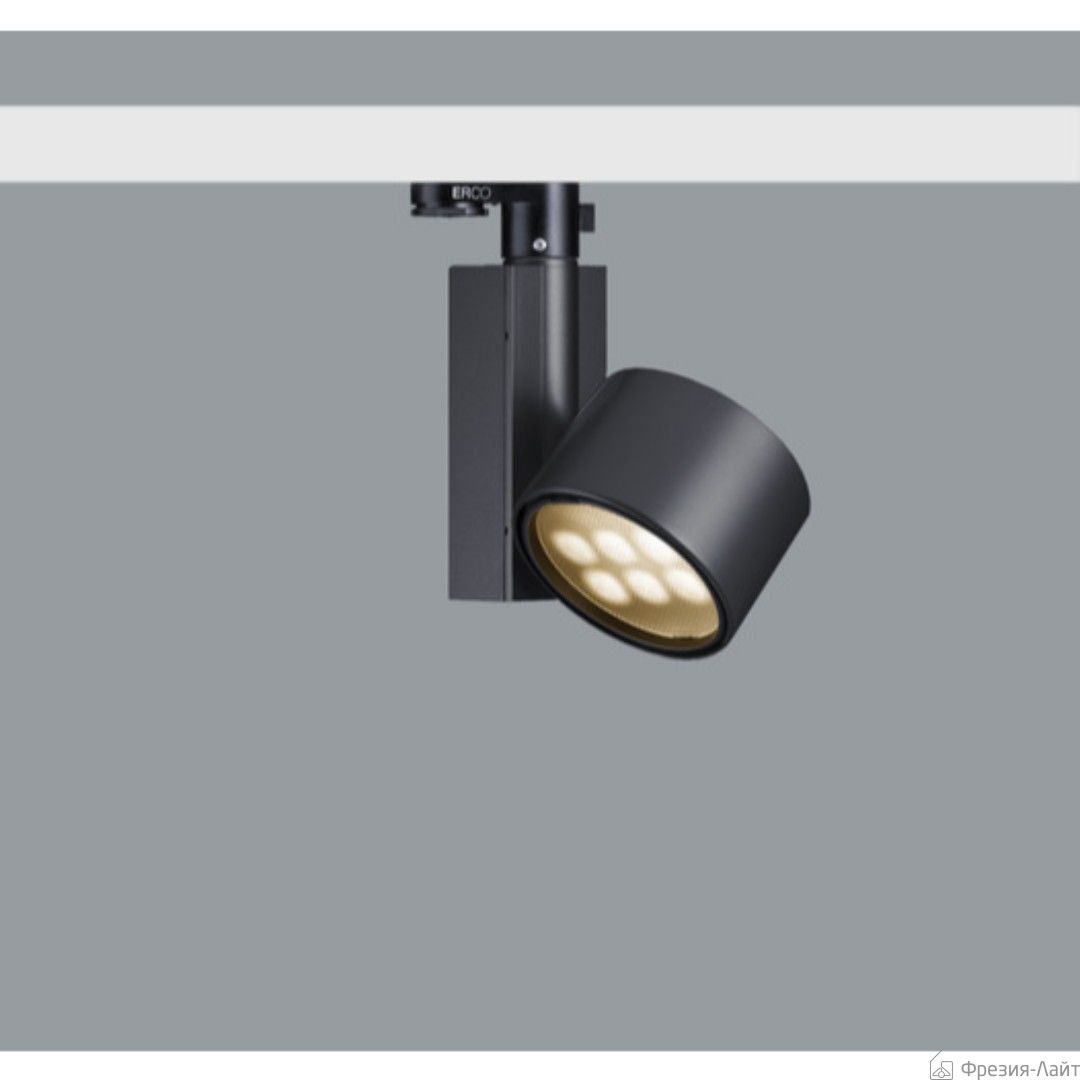 Erco 79386 трековый спот 116491