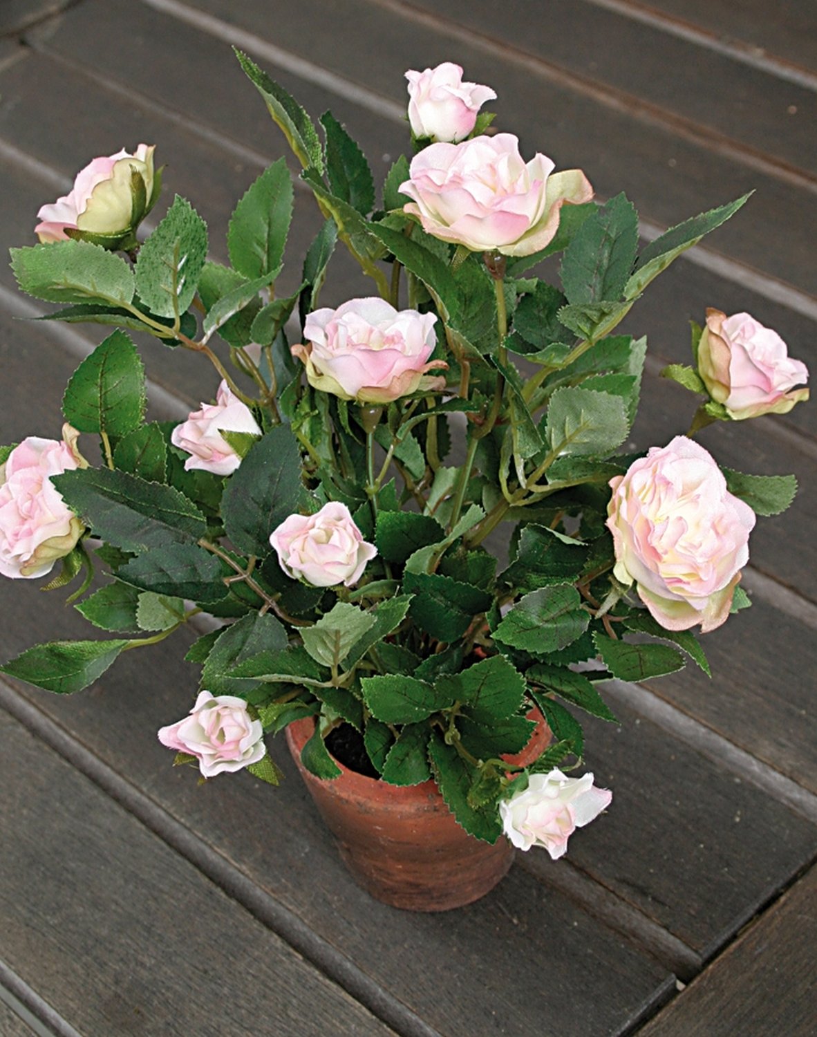 2146 500 a2 Шелковые розы кустовые, горшечные, 23 см, светло-розовые H-andreas 