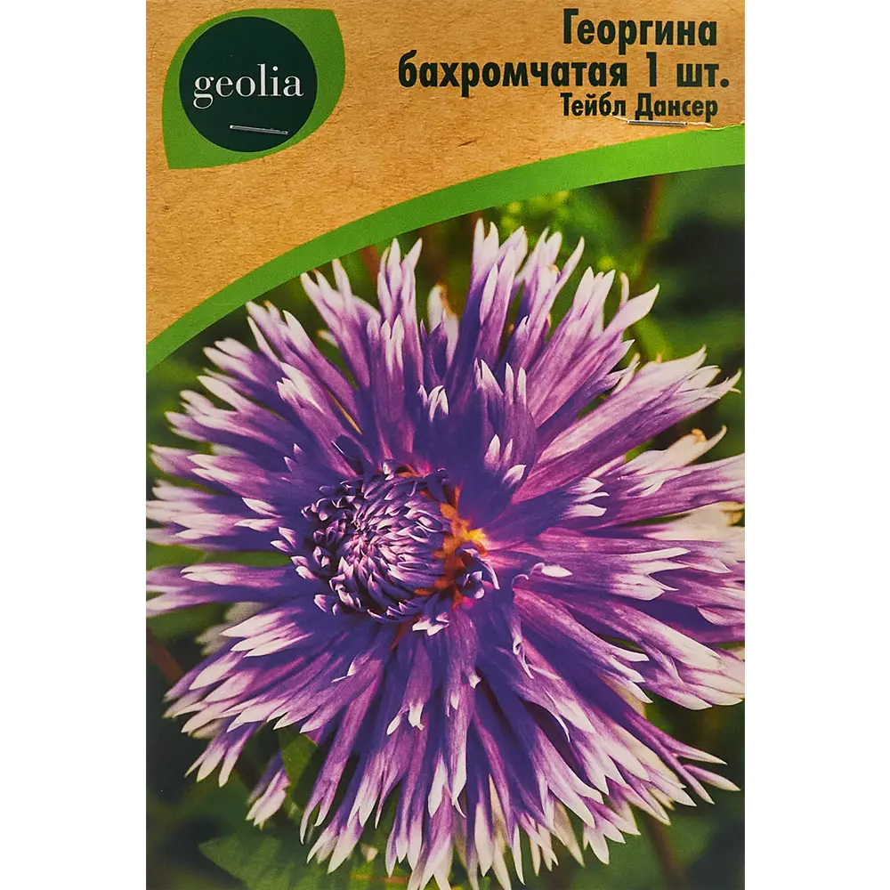 Георгина Geolia бахромчатая Тейбл Дансер STLM-2207904