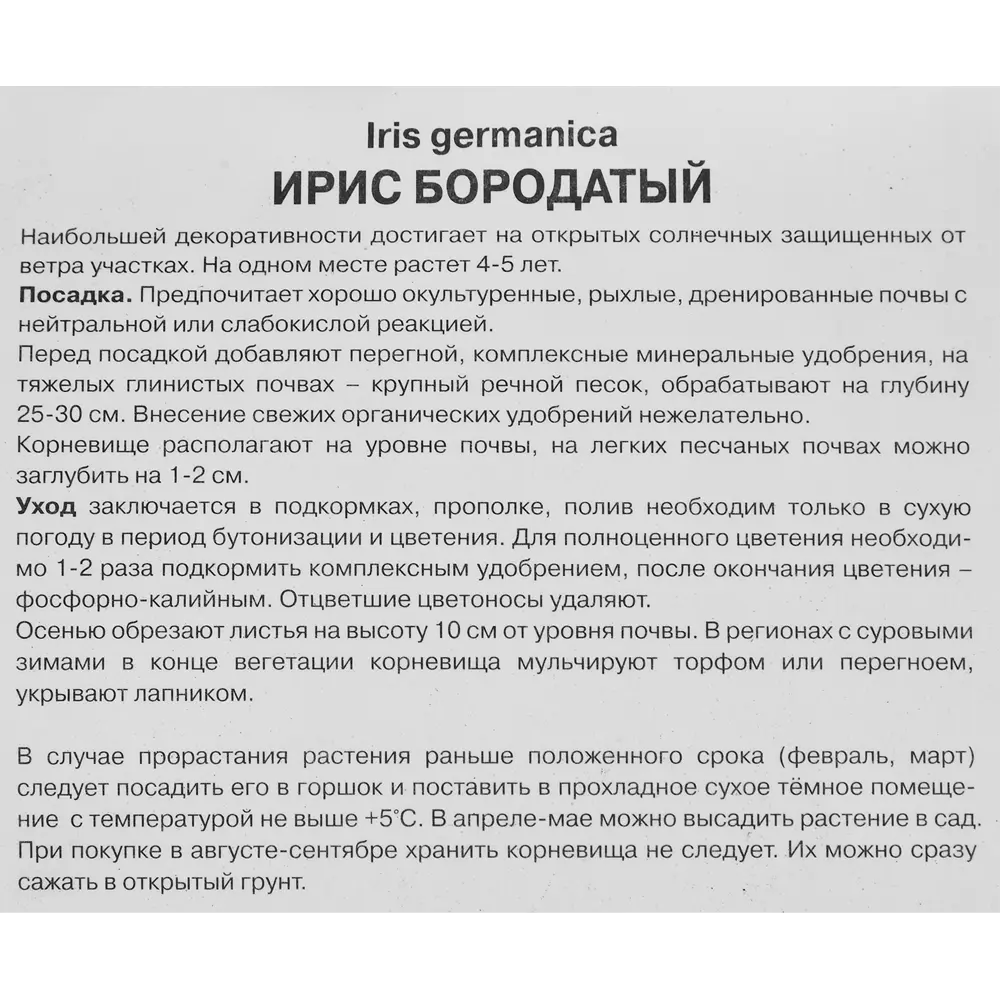 Ирис бородатый Раджа Брук ПОИСК STLM-2132153 - Вид №2