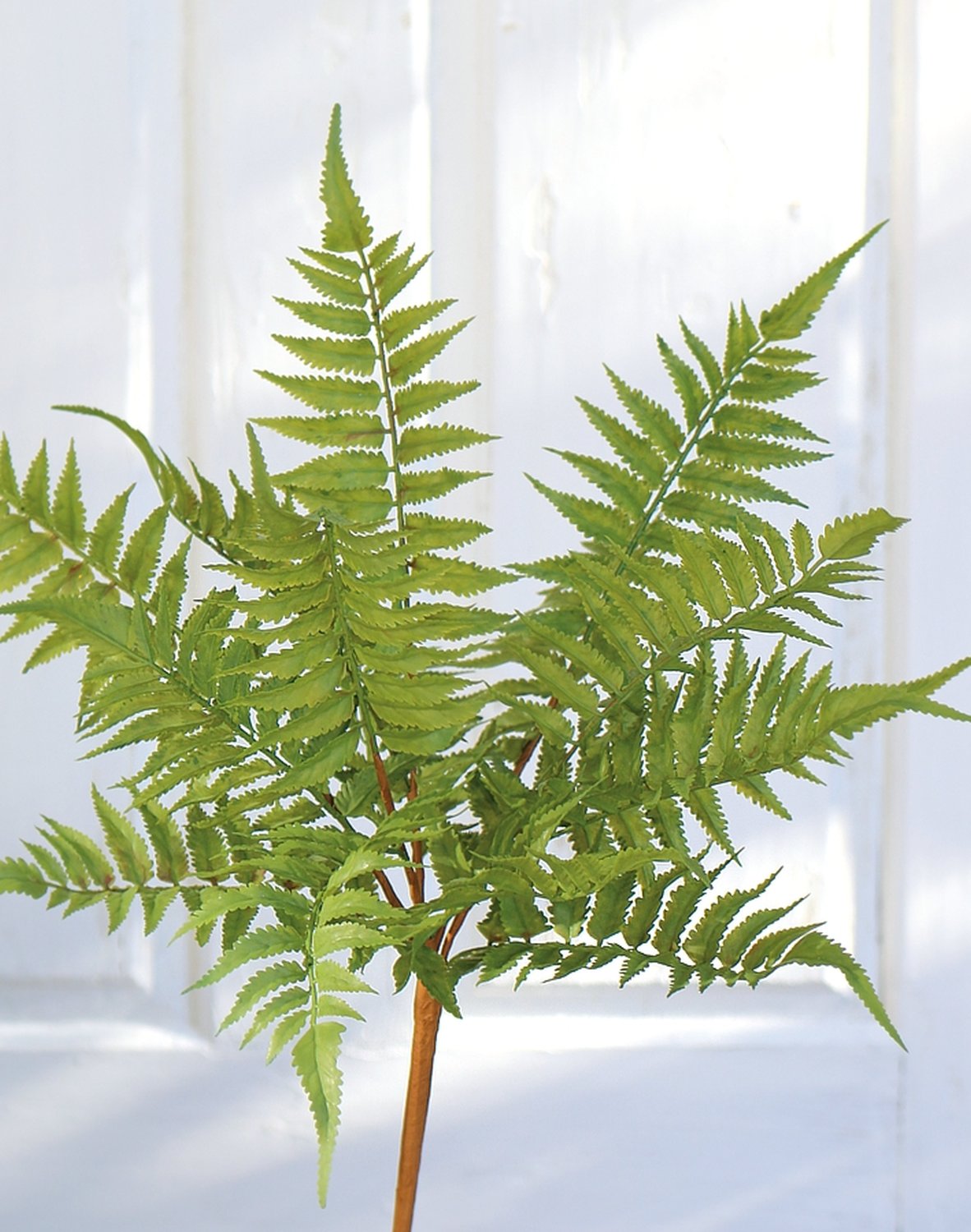 4917 883 a3 Имитация куста папоротника, 44 см, зеленая H-andreas 