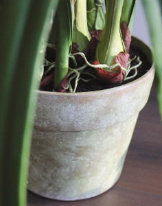 2813 805 a3 Пластиковая орхидея цимбидиум, горшок, 130 см, real touch, зелено-розовый H-andreas