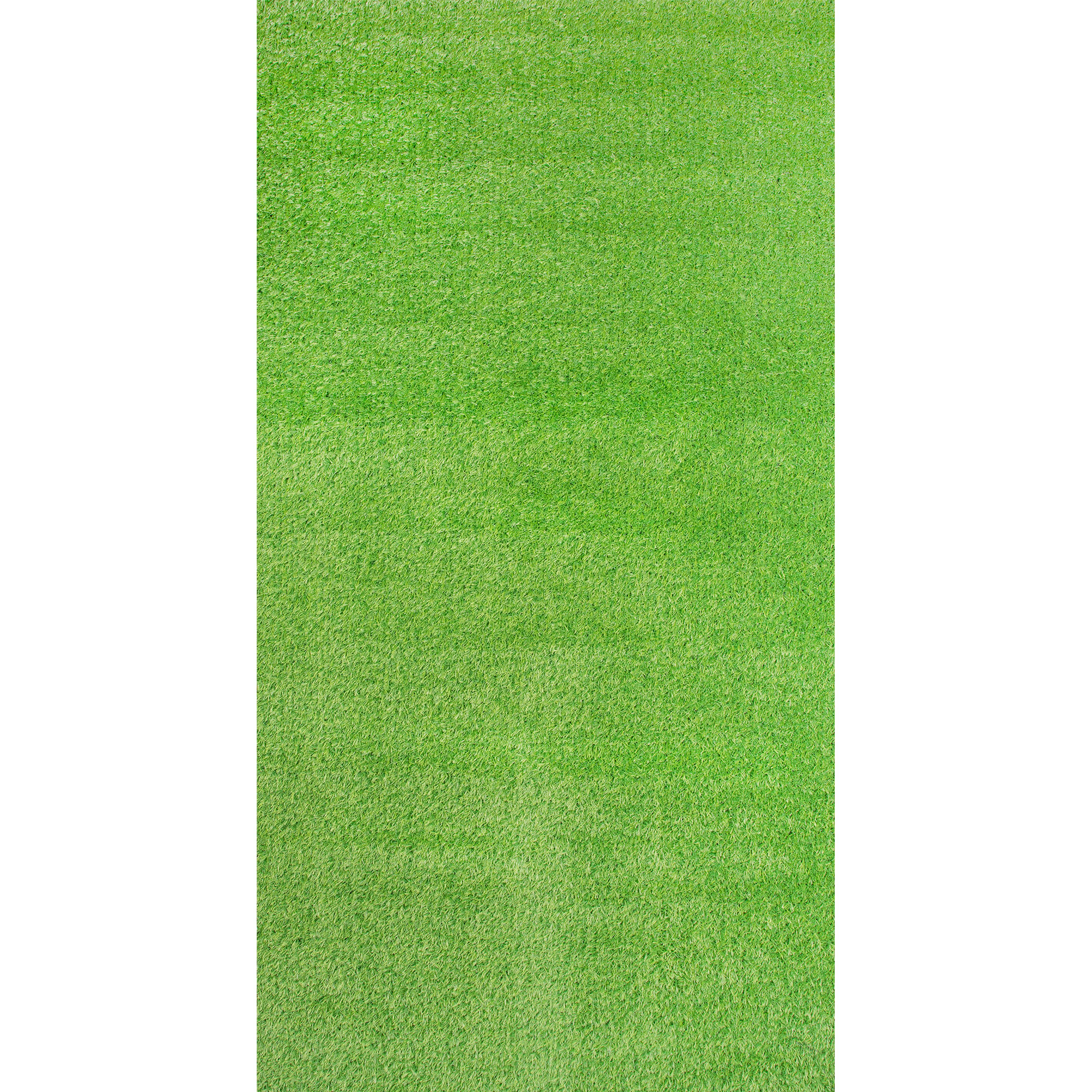 82204948 Покрытие искусственное «Tropicana», толщина 15 мм, 1x2 м Santreyd 