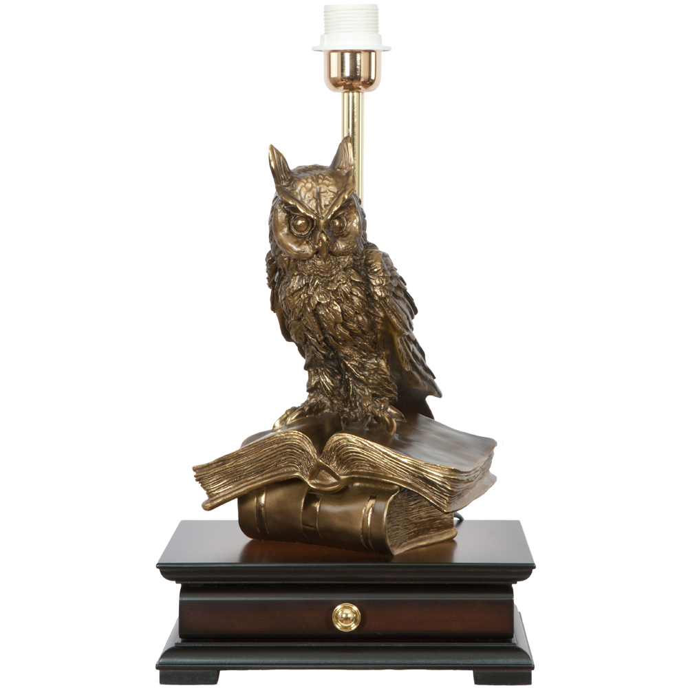 33006/1,34074 Настольная лампа с бюро Ученый Филин Классика Поталь BOGACHO 4627138211540, 4627155810771 - Вид №2