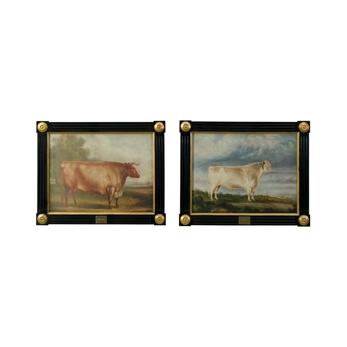 Картины / Lenith and Ox Theodore Alexander sun-id-374680 - Вид №1