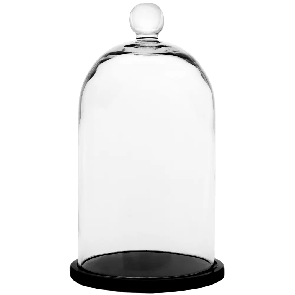 Santreyd Родрик - стеклянный колпак для цветочных композиций 82554489 STLM-0029731 - Вид №1