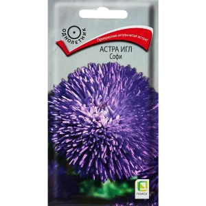 Семена цветов Поиск астра игл Софи 89346623 STLM-2078318
