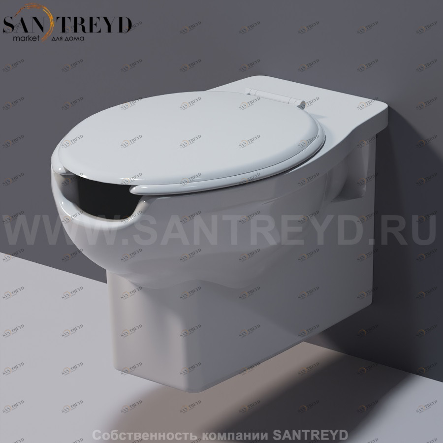 G1048Z Подвесной унитаз настенный Белый Ceramica Flaminia Disabili Италия