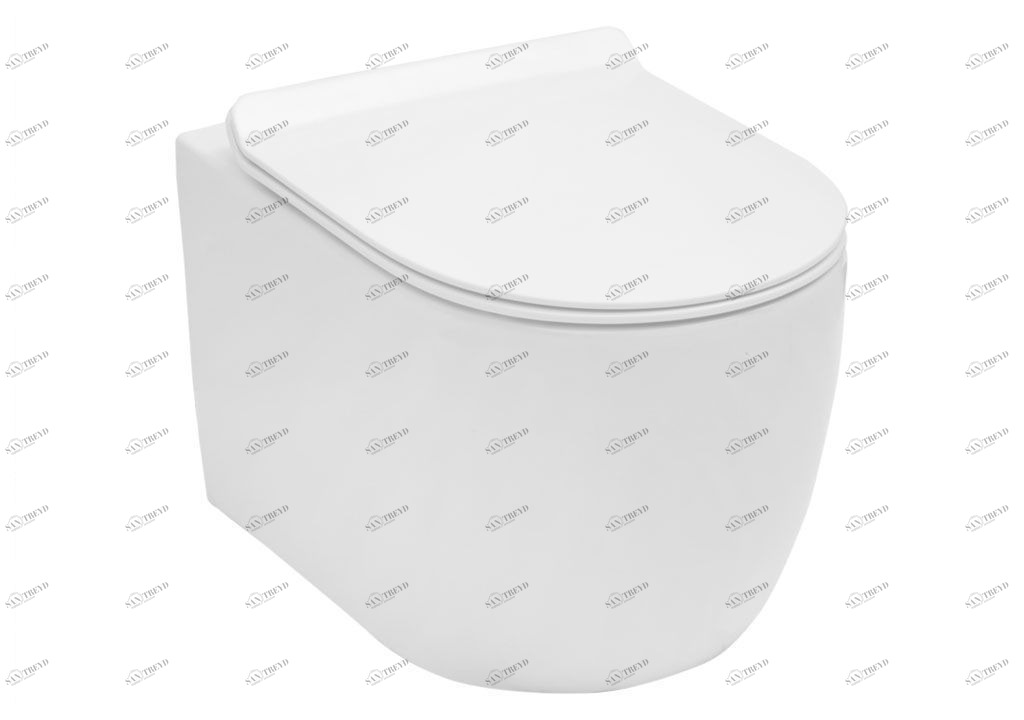 BL102NWHT Подвесной унитаз настенный Белый Aquanet CETUS Китай