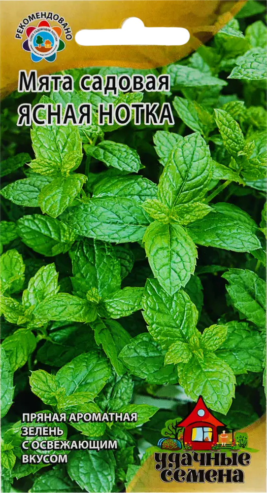 ГАВРИШ Мята «Ясная нотка» - ароматная зелень для кулинарии и чая 82097768