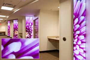 FSRT355 Стекло Vivispectra Spectra Spectra с настраиваемой прослойкой изображения в центре матери и ребенка в эбботт северо-западных и детских больницах и клиниках, миннеаполис, миннесота Forms-surfaces