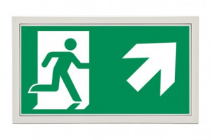 DST-688 Lisu flush-mounted Daisalux Светильники аварийные Белый