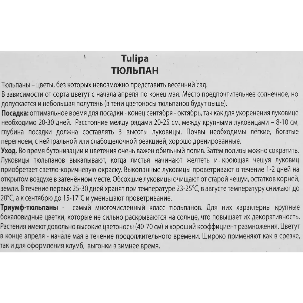Тюльпаны Триумф Хеппи Дженерейшн ПОИСК - белые с красным, 3 луковицы 85205525 STLM-1578892 - Вид №2