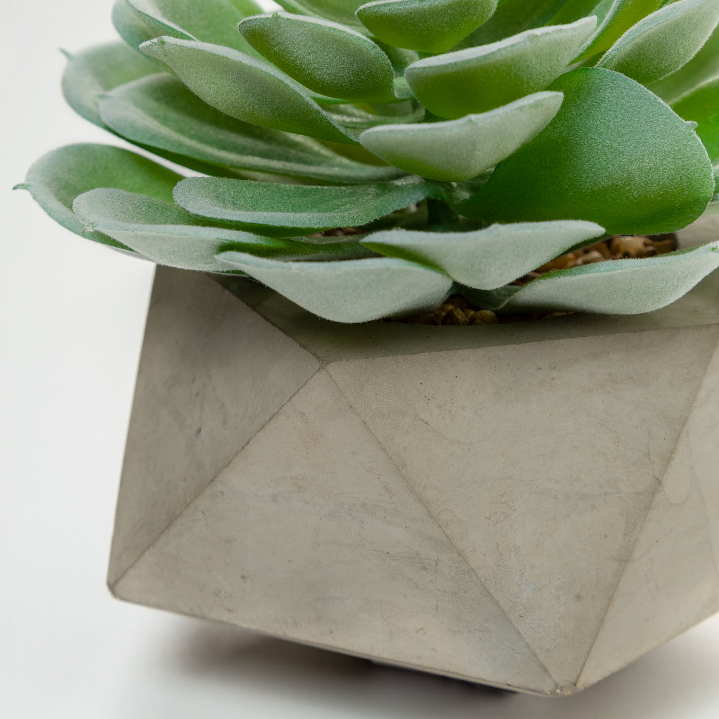 072457 Flower Искусственное растение glauca в цементном горшке La Forma Echeveria  - Вид №1