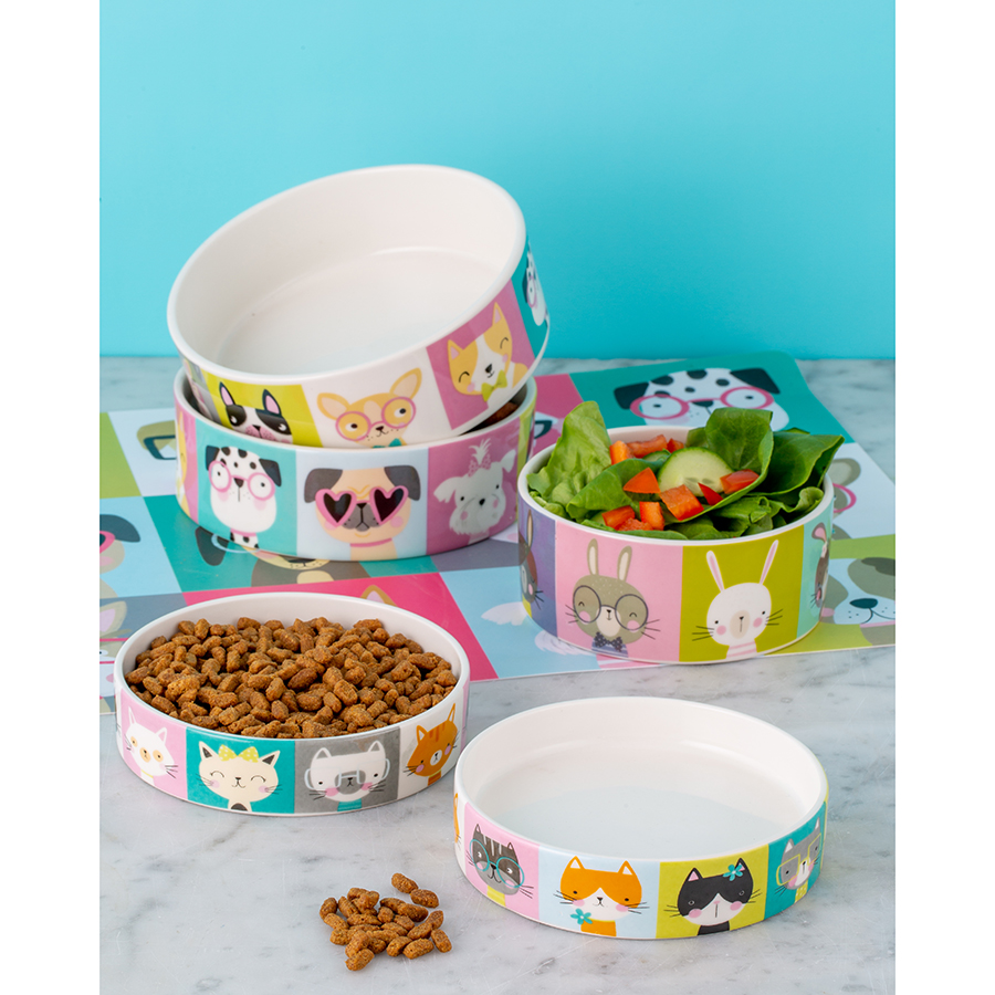 2030.475 Миска для собак pawtrait, D15 см, 600 мл Mason Cash  - Вид №2