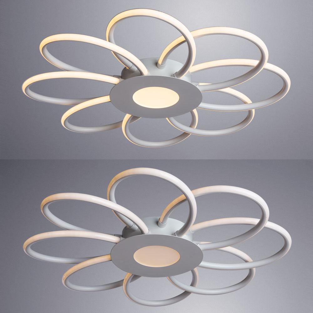 Потолочная светодиодная люстра Arte Lamp Polli A2528PL-8WH ARTE LAMP ДИЗАЙНЕРСКИЕ, POLLI 328394 Белый  - Вид №2