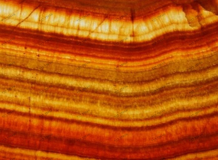 RAMA 1956 Напольная / настенная плитка из оникса Rocce wall floor sun-id-1429562