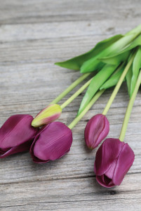 2944 208 a3 Букет искусственных тюльпанов, френч, микс, 5-кратный, 47 см, real touch, фиолетово-зеленый H-andreas