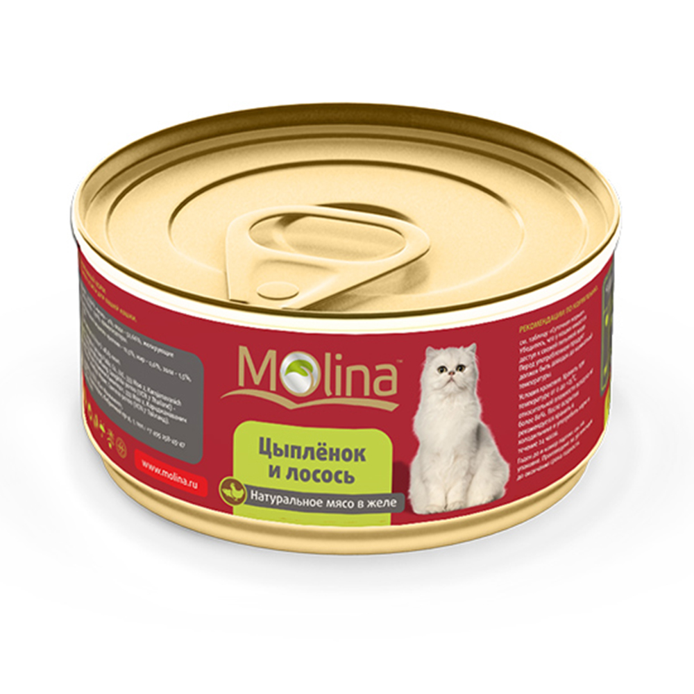 ПР0019433 Корм для кошек Цыпленок с лососем в желе банка 80г Molina 