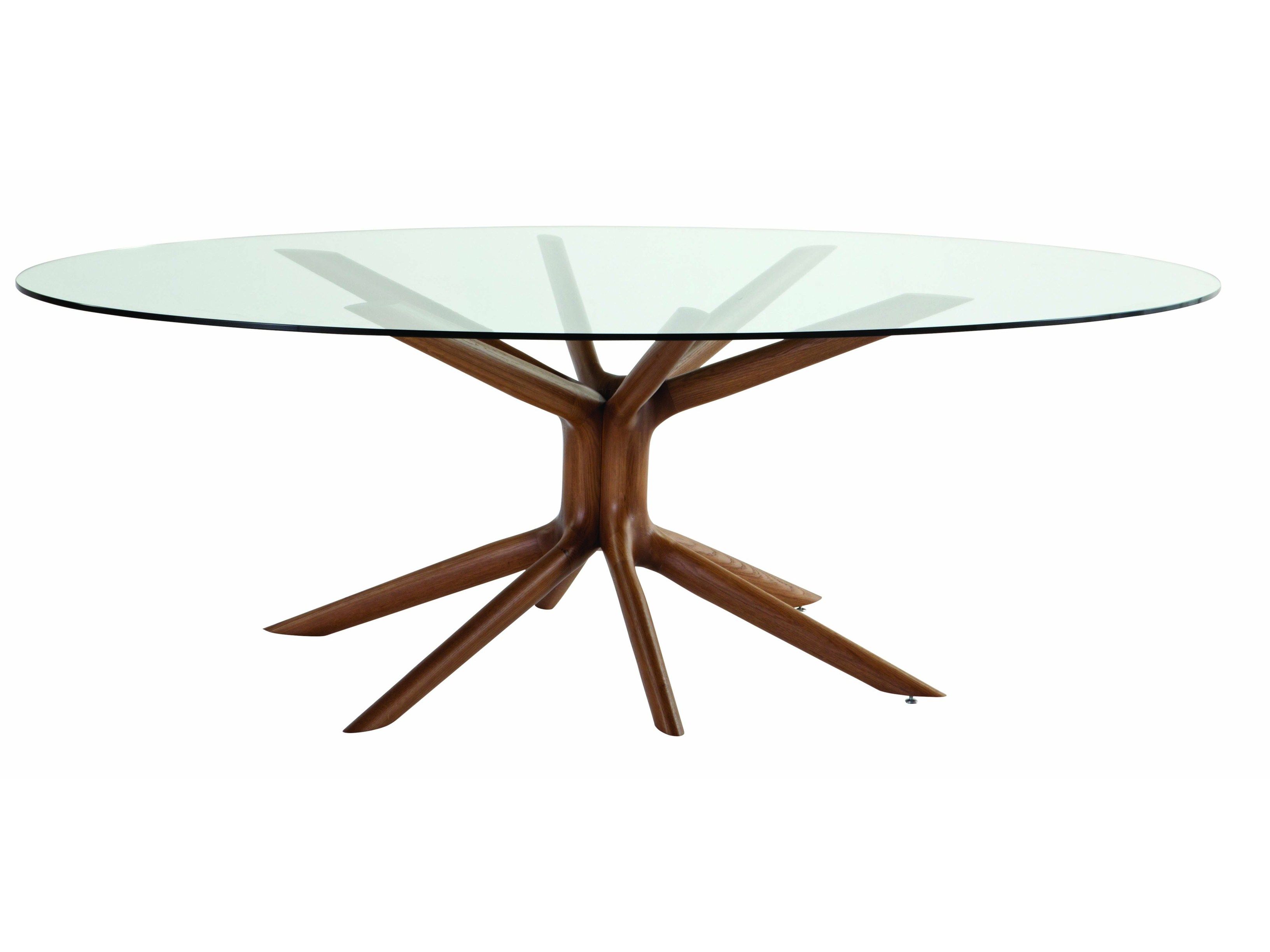 Овальный стеклянный обеденный стол ROCHE BOBOIS Мангровые заросли ARCH-00148862 - Вид №1