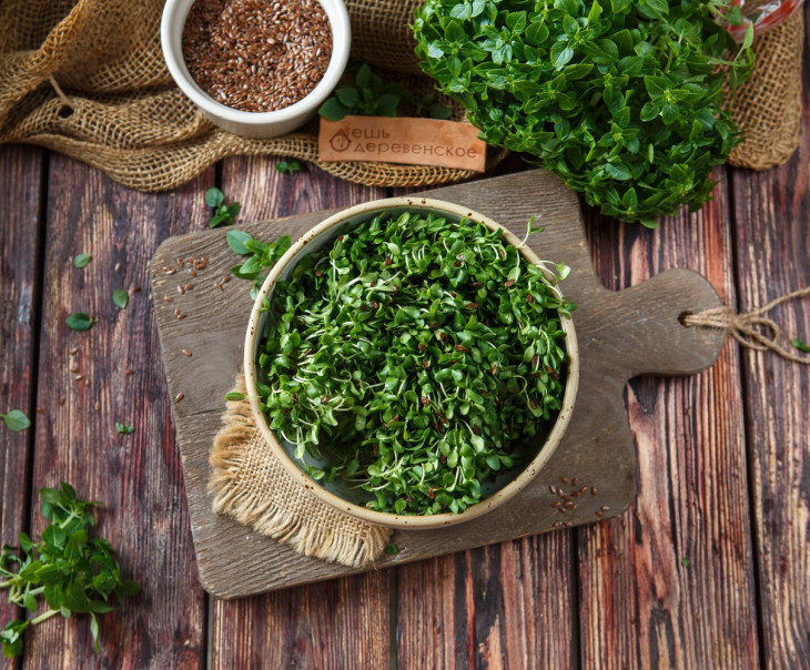 5890 Микрозелень льна Вкусляндия 