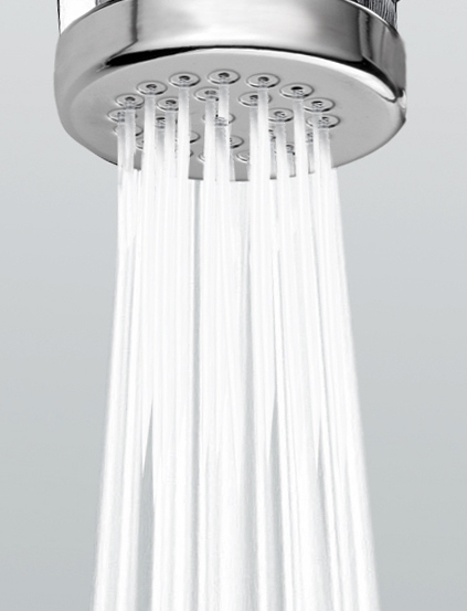 C89004 Гигиеническая лейка Nikita BOSSINI  - Вид №2