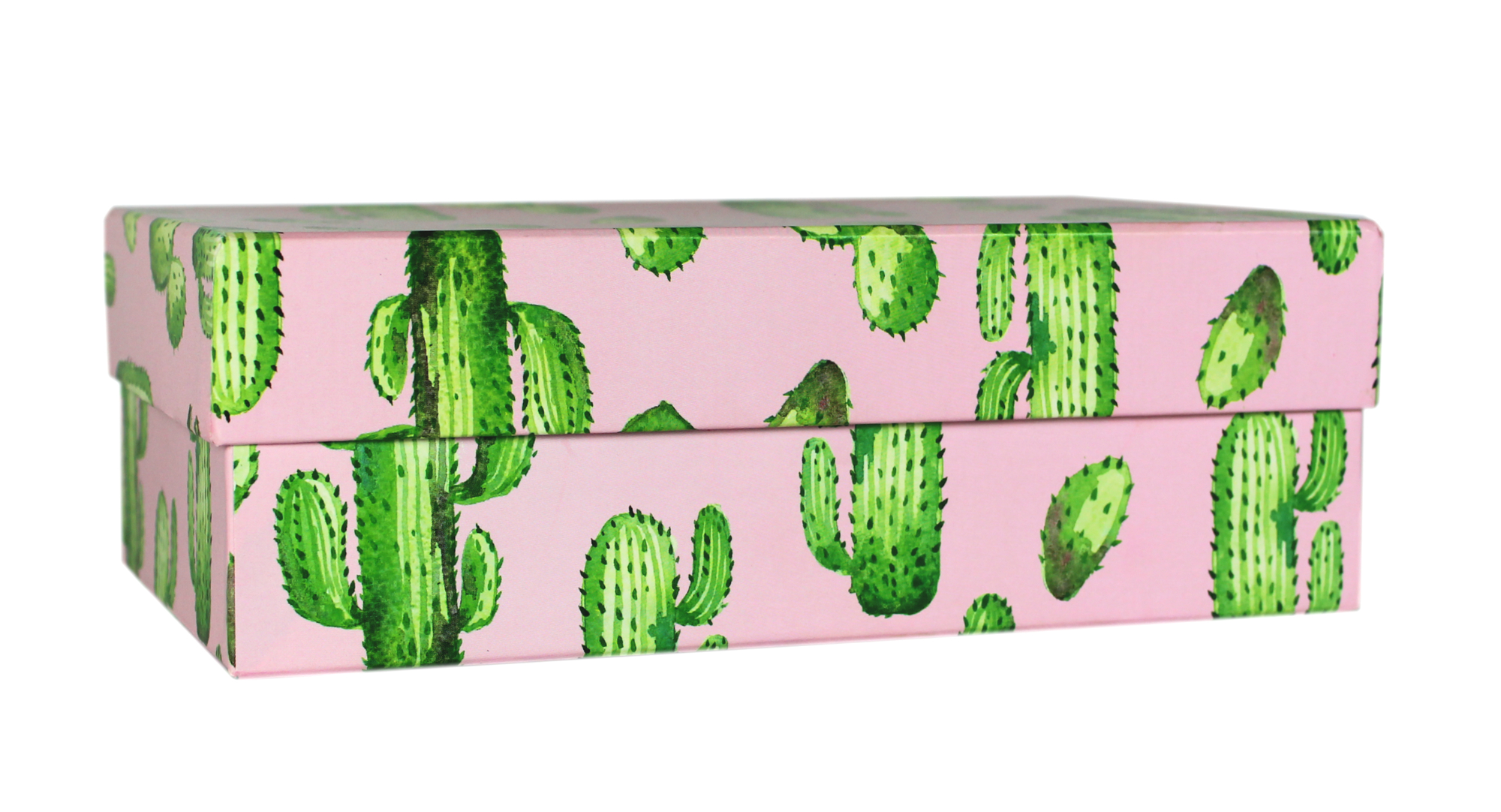 509932 Коробка подарочная "Кактусы", 19 х 12 х 6,5 см Santreyd 