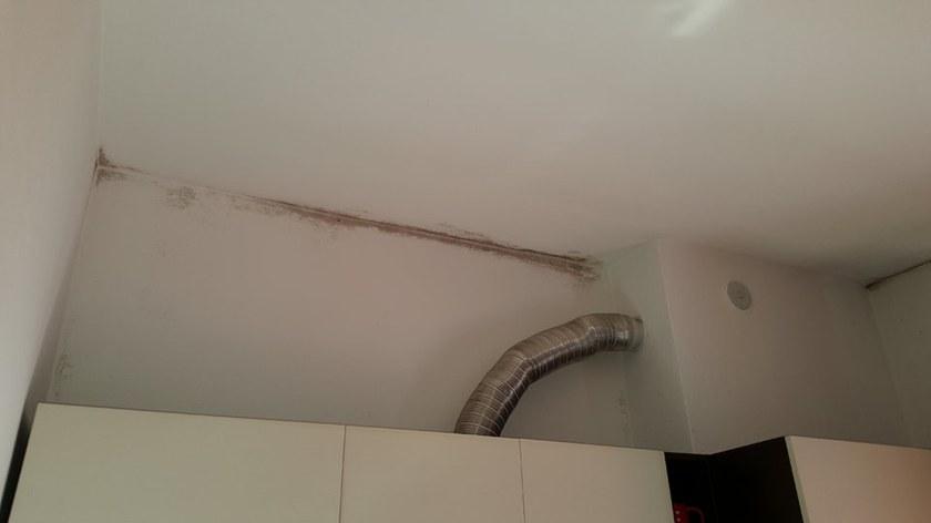 Bacchi Панель против плесени из силиката кальция для помещений Isolanti termici in idrati di calcio e antimuffa sun-id-1437210 - Вид №6