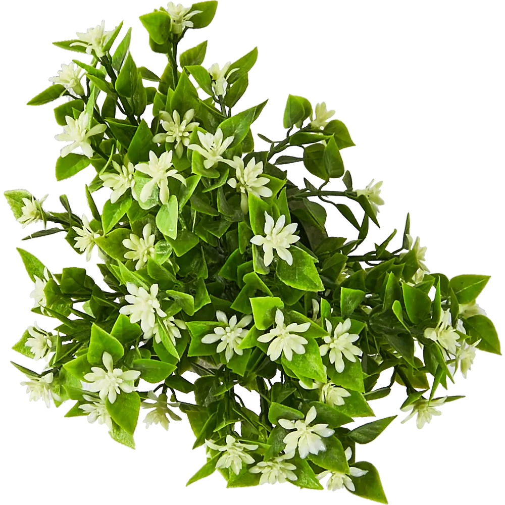 88999720 Искусственное растение Жасмин пластик 20 см STLM-0817719 Santreyd  - Вид №1